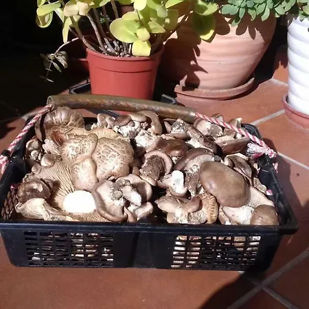 Kır Evi Arroyo Milano